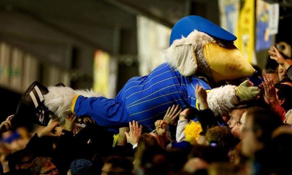 4 days until my 20th season as #mascot for this amazing football club! Can't wait for it to begin! P.S I'm ready for the call when needed.... #AFCW #AFCWimbledon 💛💙