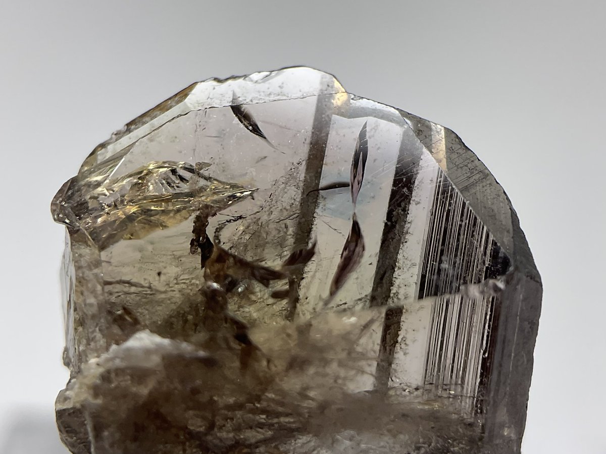 ShiroMineral's tweet image. 第14(いし)回＆4周年おめでとうございます！

鉄斧石(フェローアキシナイト)です‼️
結晶が両頭だし、綺麗に結晶残っているし、条線が繊細だし、
ブルーとグリーンのティントもあるし、多色性もすっごい…！
店舗では気づけなかった良さに家で気づくことありますよね☺️

 #ごももと見ようよ好き石発表会