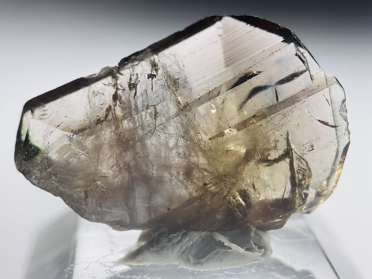 ShiroMineral's tweet image. 第14(いし)回＆4周年おめでとうございます！

鉄斧石(フェローアキシナイト)です‼️
結晶が両頭だし、綺麗に結晶残っているし、条線が繊細だし、
ブルーとグリーンのティントもあるし、多色性もすっごい…！
店舗では気づけなかった良さに家で気づくことありますよね☺️

 #ごももと見ようよ好き石発表会