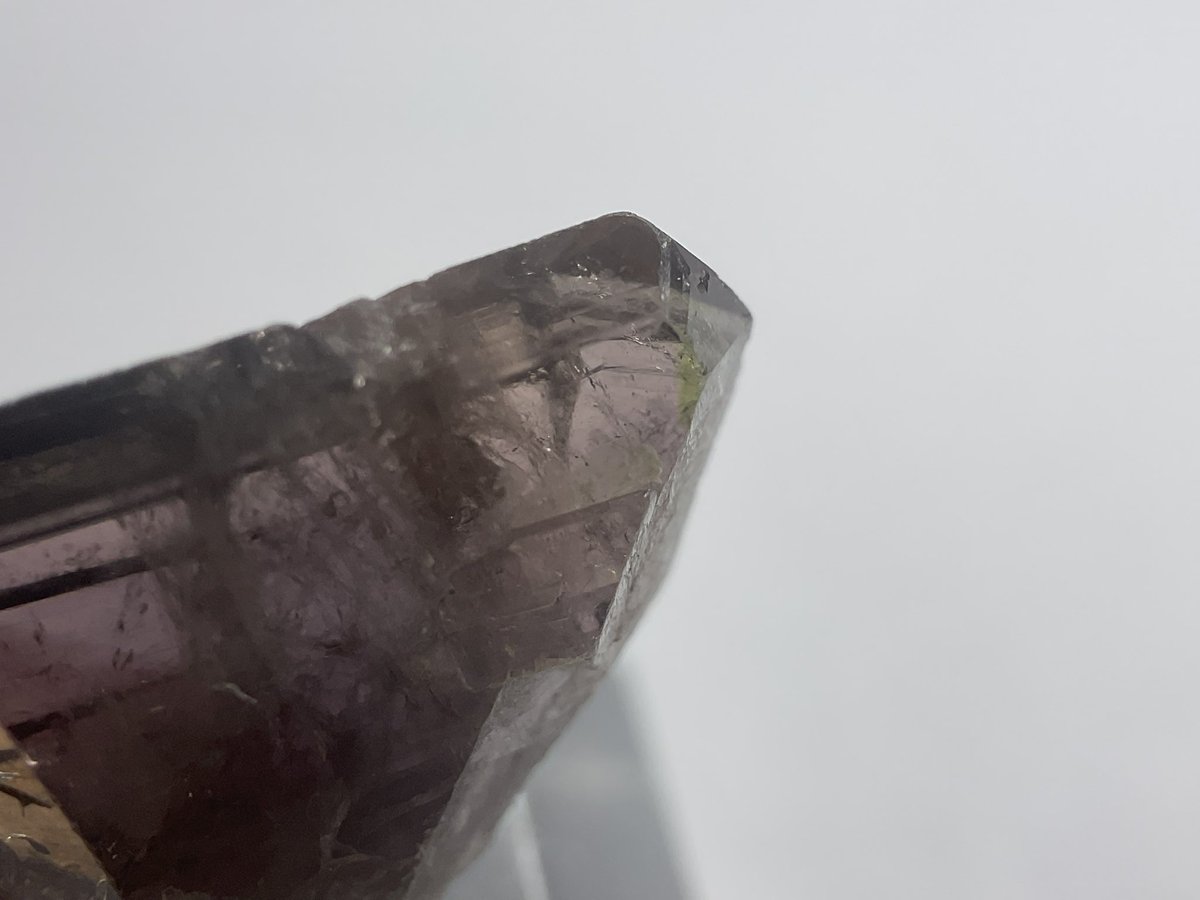 ShiroMineral's tweet image. 第14(いし)回＆4周年おめでとうございます！

鉄斧石(フェローアキシナイト)です‼️
結晶が両頭だし、綺麗に結晶残っているし、条線が繊細だし、
ブルーとグリーンのティントもあるし、多色性もすっごい…！
店舗では気づけなかった良さに家で気づくことありますよね☺️

 #ごももと見ようよ好き石発表会