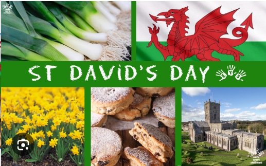 TLlanelli's tweet image. March 1st came and went… and not a single word from Reform UK or Nigel Farage about St David’s Day — the national day of Wales.
Checked their social feeds… nothing. No dafodils, no shoutout to the Welsh people. Just silence.
For a party that claims to speak for “ordinary…