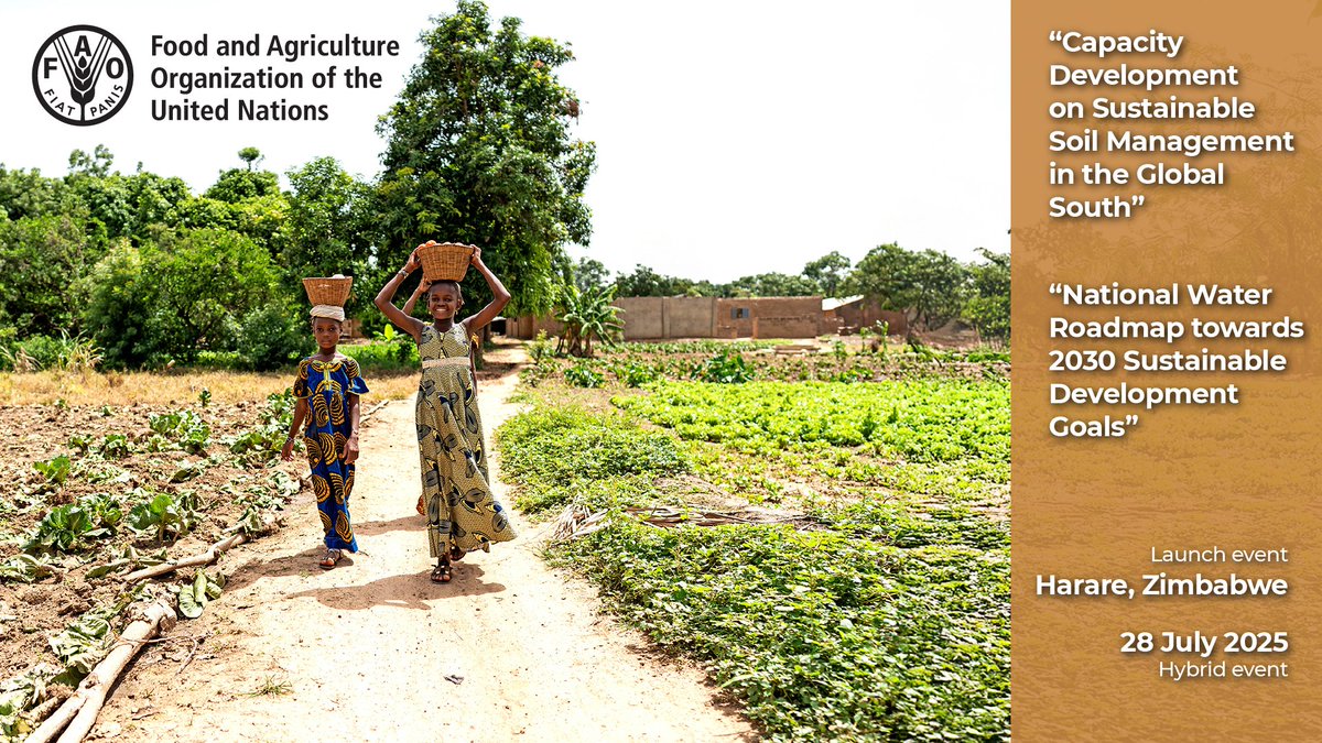 FAO Land, Soil and Water (@faolandwater) on Twitter photo 🌱💧 Join today's launch of two new projects to strengthen sustainable soil and water management in Zimbabwe, organized by <a href="/FAO/">Food and Agriculture Organization</a> and the Government of Zimbabwe.
👉 Learn more:
tinyurl.com/5x6fnath
🔗 Join the launch on Zoom at 14:00 (CEST): tinyurl.com/58yt6twk 🌱💧 Join today's launch of two new projects to strengthen sustainable soil and water management in Zimbabwe, organized by <a href="/FAO/">Food and Agriculture Organization</a> and the Government of Zimbabwe.
👉 Learn more:
tinyurl.com/5x6fnath
🔗 Join the launch on Zoom at 14:00 (CEST): tinyurl.com/58yt6twk