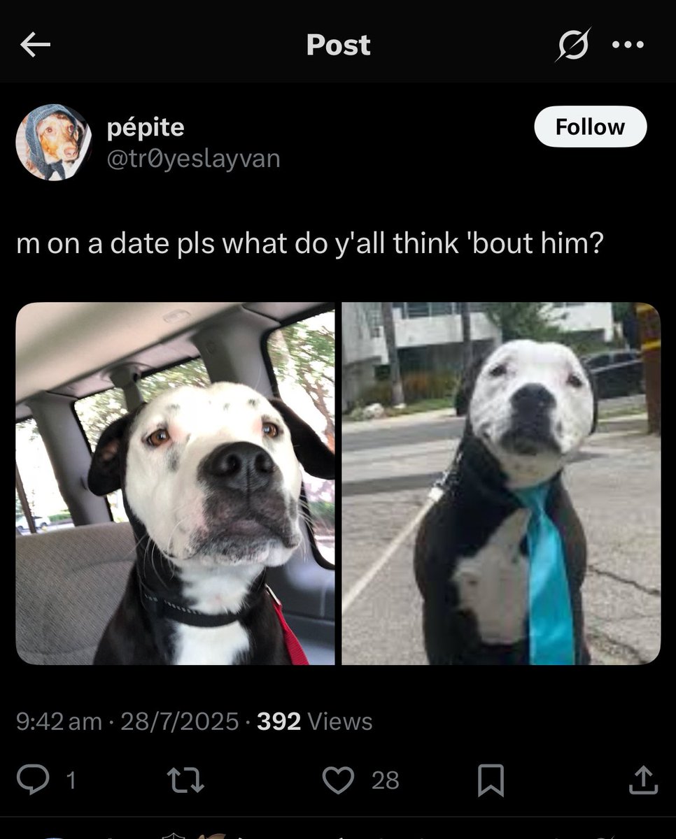 LATENIGHTSUSHl's tweet image. literally what is happening
