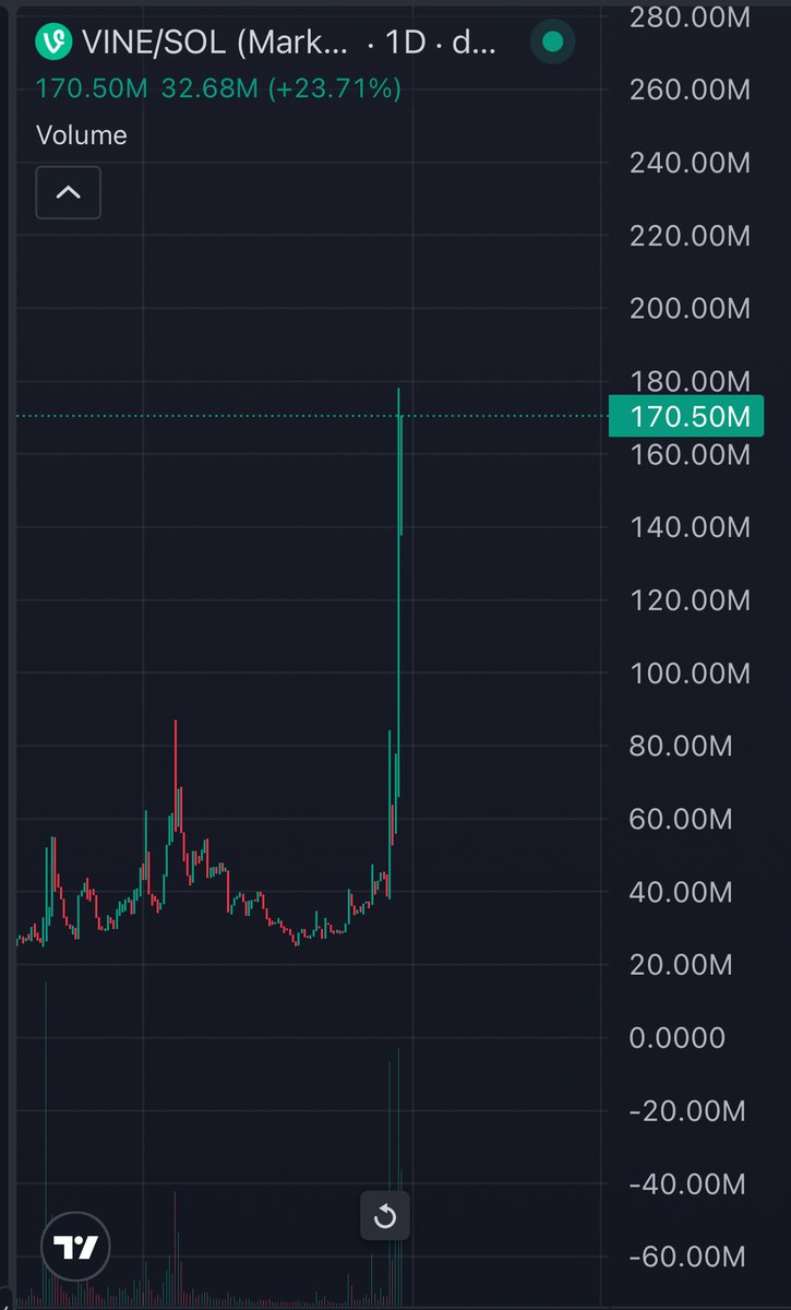 franzonchain's tweet image. Fuck

Why did $Vine pump so hard??!