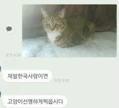 nuna82's tweet image. ㅇㅌㅁ 틱톡볼때 맨날하는생각  얼굴잘보이게, 고화질로, 선명하게, 조명써서 찍어올려