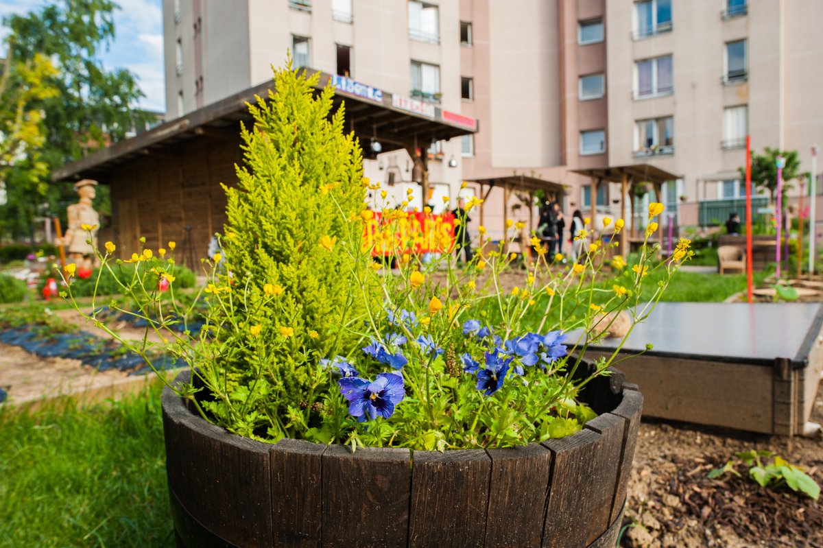 1/2 
🌳 Et si vous preniez le temps… de respirer ? 🌿

Avec l’été, les 23 Parcs et jardins d’Alfortville vous offrent une parenthèse de fraîcheur et de calme en plein cœur de la ville. Que ce soit pour lire, jouer, marcher ou simplement faire une pause à l’ombre, ils sont là