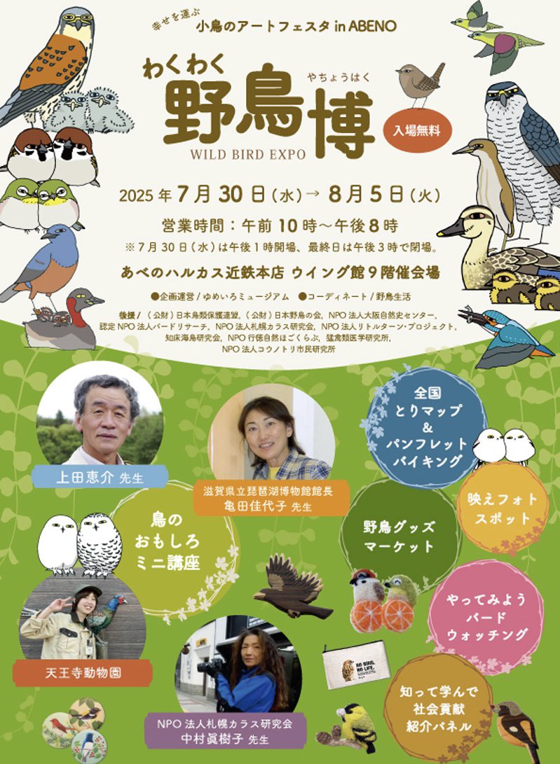 Yachoo_Seikatsu's tweet image. わくわく野鳥博 in あべの、水曜日いよいよ開幕します🎉
初日は13時オープンなのでお気をつけくださいね。
今年も充実した7日間になりそうな予感‼️
わくわくわく‼️
あべのハルカスウイング館9階にて
7/30(水)〜8/5(火)
#わくわく野鳥博