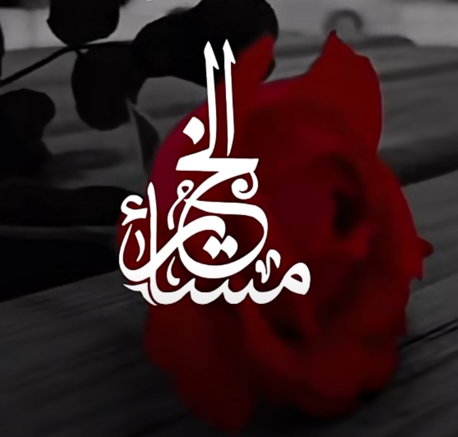 Mkhaled8902's tweet image. والله انه في ذرى عيني واتشفق صدق واحنه

مع هبوب النود ياتيني طيفه اللي مبطيٍ عنه ..!*

#مساء_الــود_والـــورد 🌸