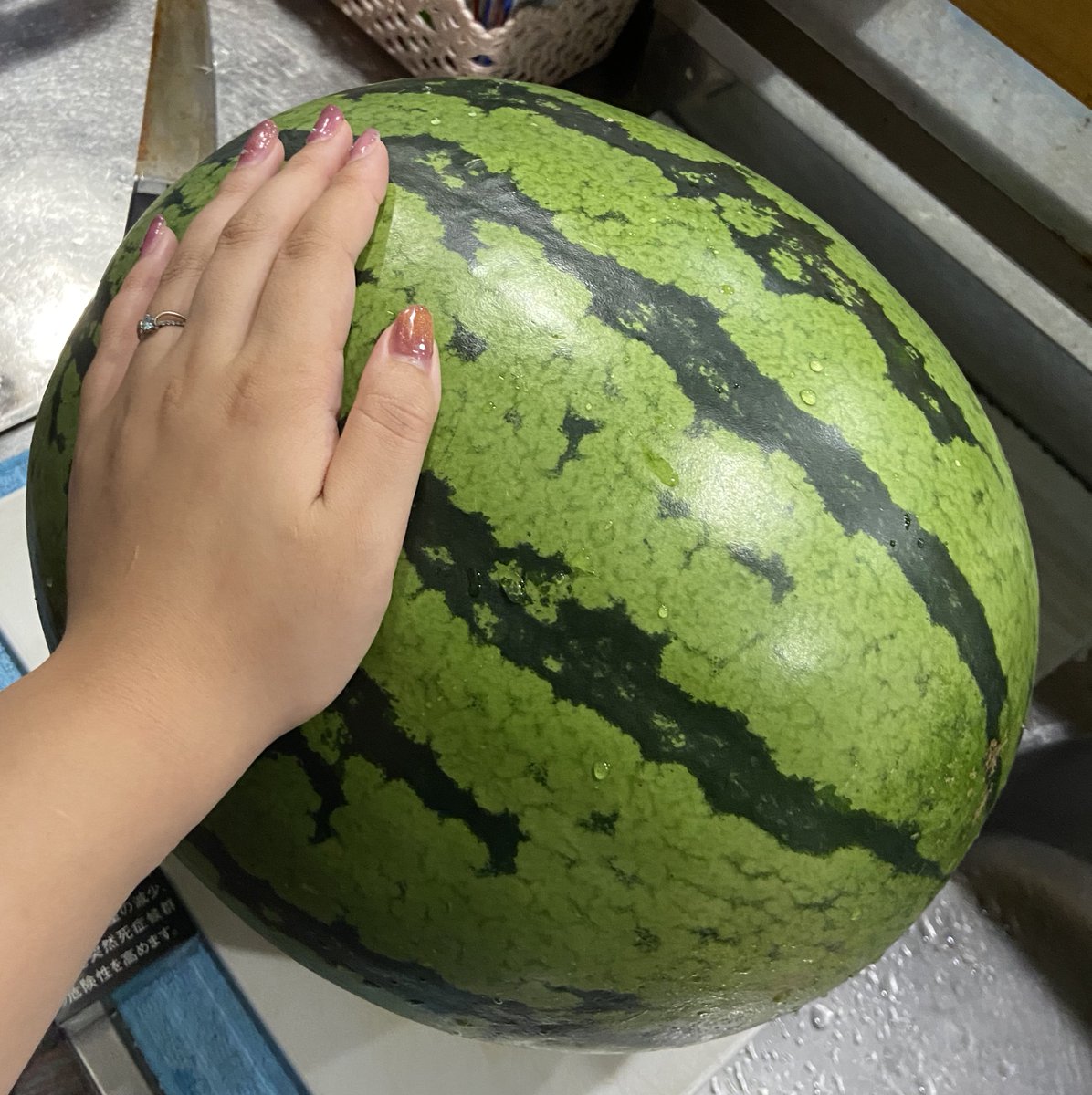 koyoi_utaware's tweet image. 昨日食べたスイカがめちゃくちゃでかかった🍉