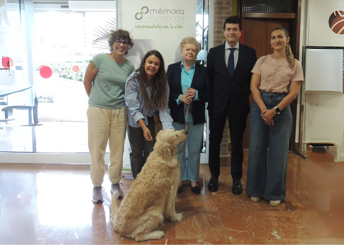 📝Fundación Mémora pone en marcha su Programa de bienestar integral para personas mayores en Cantabria junto a Fundación Asilo de Torrelavega. Primera actividad: terapia con animales 🐶.
#fundacionmemora #cantabria #personasmayores #perros #bienestar
fundacionmemora.org/prensa/program…
