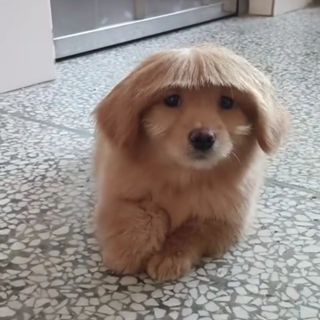 planetorbar's tweet image. everything reminds me of her