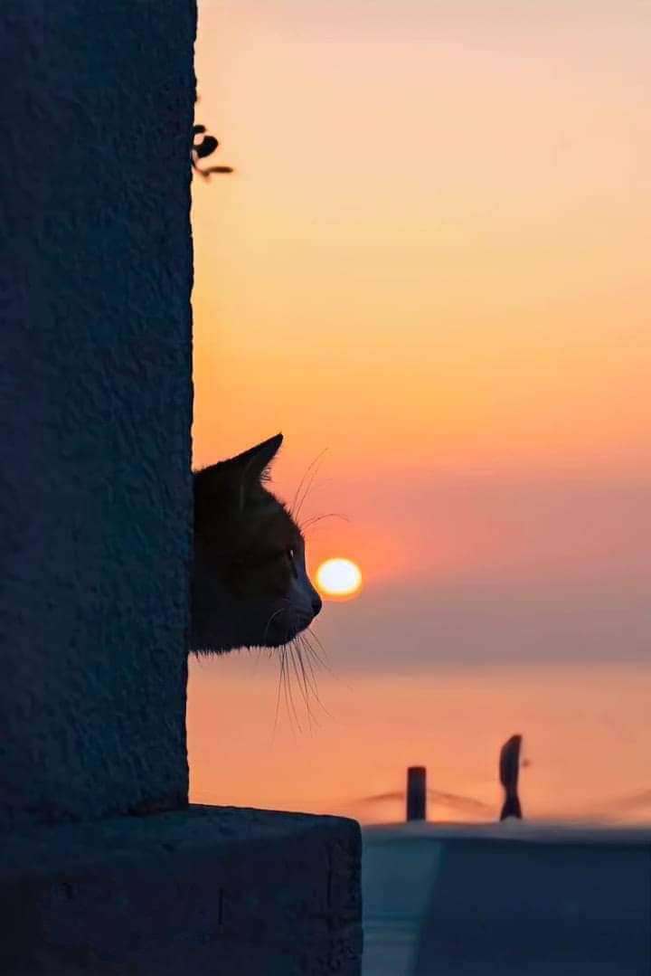 If you get tired, learn to rest not to quit.
ถ้าคุณรู้สึกเหนื่อย.. จงเรียนรู้ที่จะพักไม่ใช่ยอมแพ้..!!