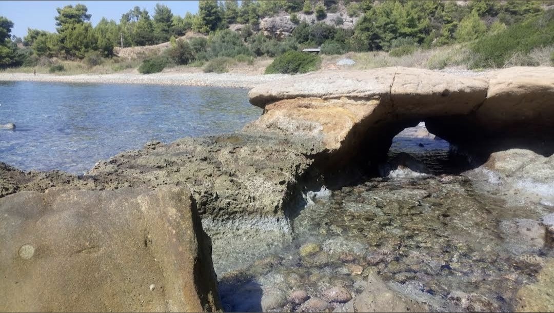 FotisKin's tweet image. Μονο εδώ έχω σήμα να σας διαβάσω. Απέναντι στο βάθος είναι το καλυβακι μου. Ακόμα δεν μας έχει πιάσει εδω η επέλαση των βαρβάρων.
Φερτε κανα παιχτη ρεεεεεεεε!