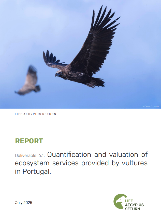 MonteroQuercus's tweet image. ¡Los buitres son imprescindibles!
🇵🇹 Según informe de #LIFEAegypiusReturn en #Portugal sus servicios ecosistémicos valieron +600.000 € en 2023 y podrían superar los 18 millones € en 2048.
📎 4vultures.org/blog/vultures-…
Vía @4Vultures 
📄 Informe original:
4vultures.org/wp-content/upl…