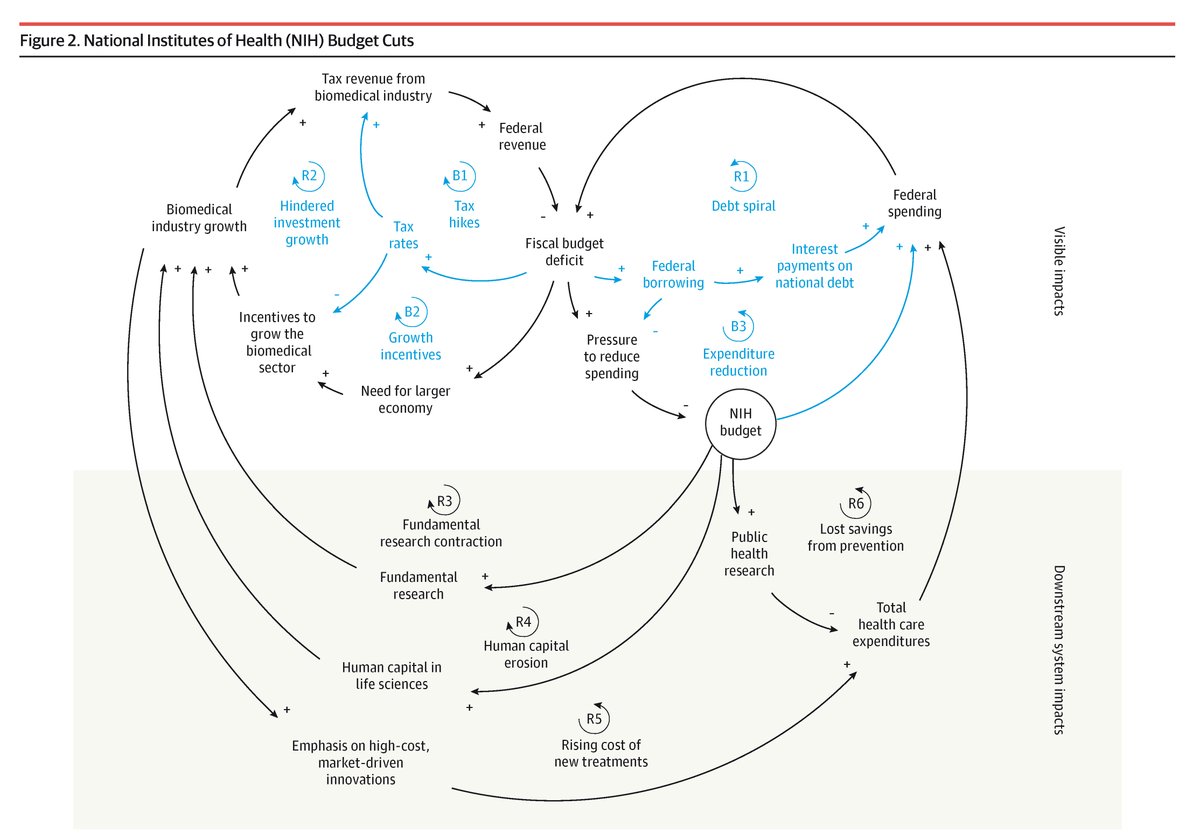 Special Communication: Proposed <a href="/NIH/">NIH</a> budget cuts may result in reduced scientific progress, diminished biomedical workforce development, increased health care costs, and slowed innovation. ja.ma/416S6Ky <a href="/msjalali/">M.J.</a>