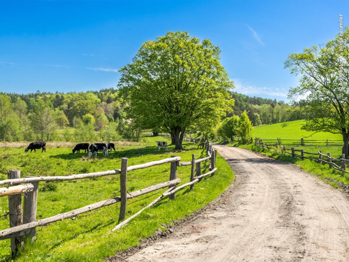 EU Agriculture🌱 tweet media