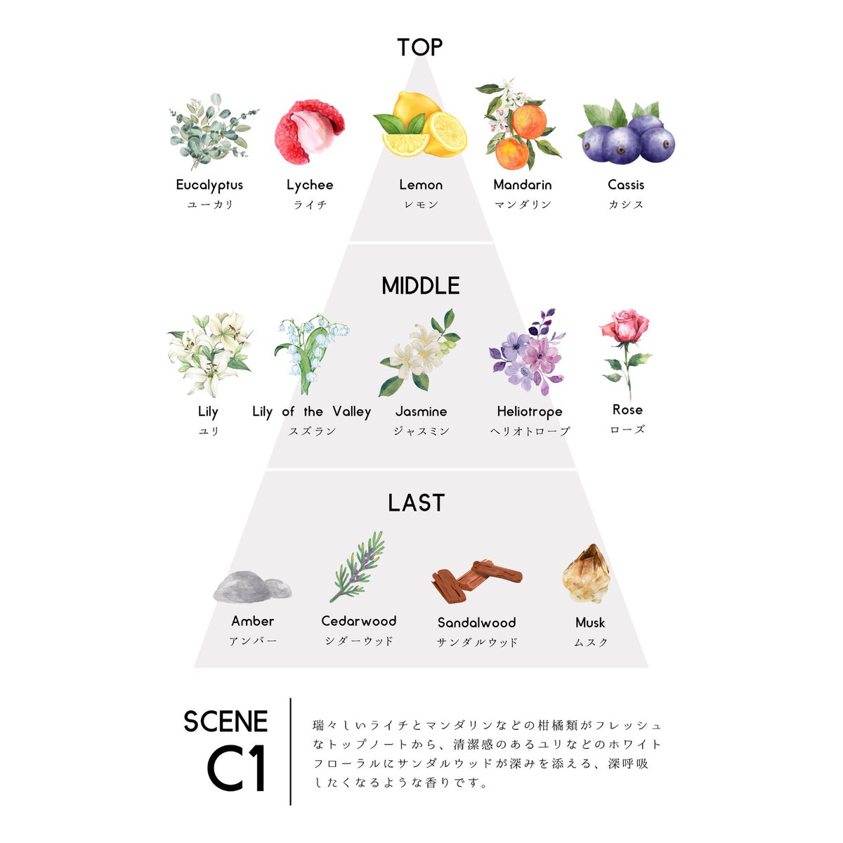 ♡香水まとめ　34点！ zzzgoo｜秘密の香水屋さん (@_zzzgoo) / X