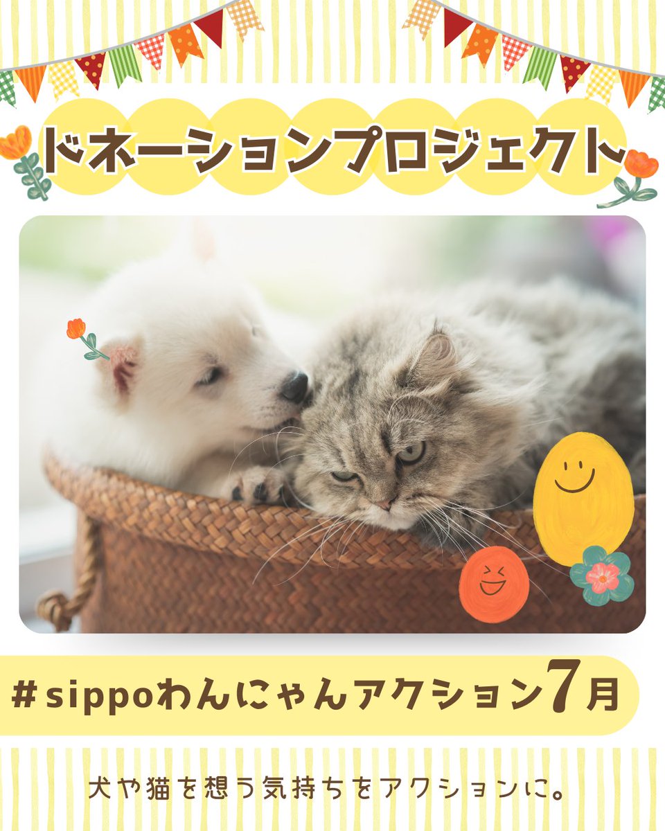 Asahisippo's tweet image. \みんなのアクションが寄付につながる!/
「犬や猫の幸せのために何かしたい」気持ちを、アクションで表しませんか?
7月10日〜30日までの期間、「sippoドネーションプロジェクト」第2弾を開催中!
🐾いいね・フォロー・ハッシュタグ投稿など…