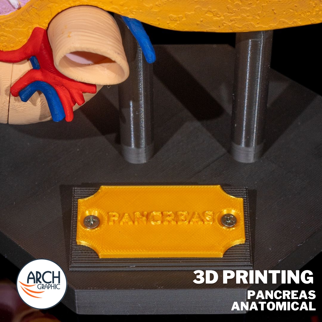 3d_archgraphic's tweet image. 🩺 3D Printed Pancreas Anatomical Model 🏥
High-precision medical model for education, research, and surgical planning.
📍 Made in UAE
arch-graphic.com
#3DPrintingUAE #Medical3DPrinting #PancreasModel #AnatomicalModels #Healthcare3DPrinting #MedicalEducationUAE #UAE3DPrint
