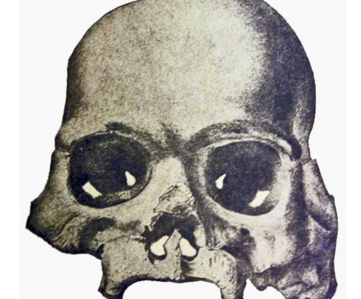 hide2951889's tweet image. 19世紀、テーブルマウンテンの奥深くで数百点もの遺物が発見されました。数千万年前の地層から発見された人工物です。…