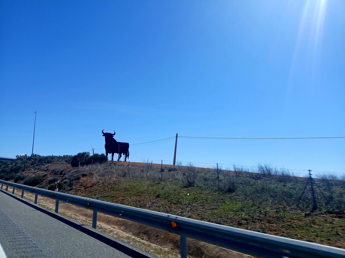 JM Martín de Blas (@martindeblas) on Twitter photo #TOROS #TV
Estas son las retransmisiones taurinas de <a href="/CMM_es/">Castilla-La Mancha Media</a> en AGOSTO:
2 Bargas
3 Villalpardo
9 Fontanar
10 Villacañas
15 Toledo
16 Sigüenza
17 Povedilla
21 Ciudad Real
23 Tarazona de La Mancha
24 Cuenca
25 Cuenca
28 Riópar
30 Sacedón
31 Villaseca de la Sagra
#EquipazoTOROSCMM #TOROS #TV
Estas son las retransmisiones taurinas de <a href="/CMM_es/">Castilla-La Mancha Media</a> en AGOSTO:
2 Bargas
3 Villalpardo
9 Fontanar
10 Villacañas
15 Toledo
16 Sigüenza
17 Povedilla
21 Ciudad Real
23 Tarazona de La Mancha
24 Cuenca
25 Cuenca
28 Riópar
30 Sacedón
31 Villaseca de la Sagra
#EquipazoTOROSCMM