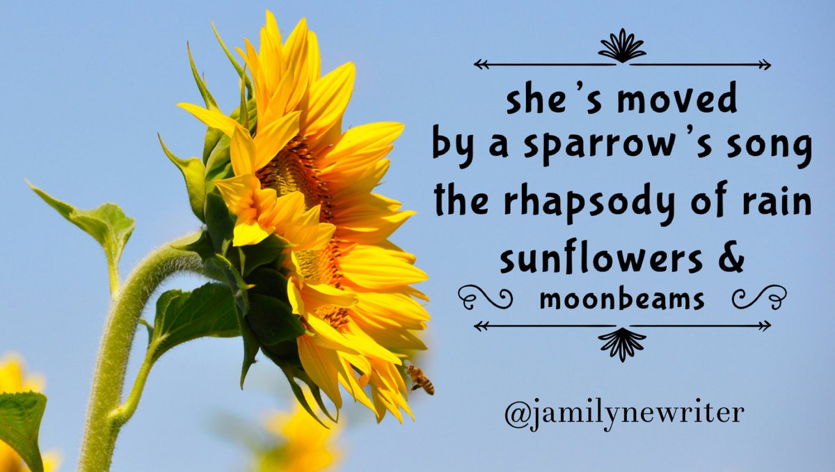 she’s moved 
by a sparrow’s song 
the rhapsody of rain 
sunflowers &amp;
moonbeams 

 #vss365