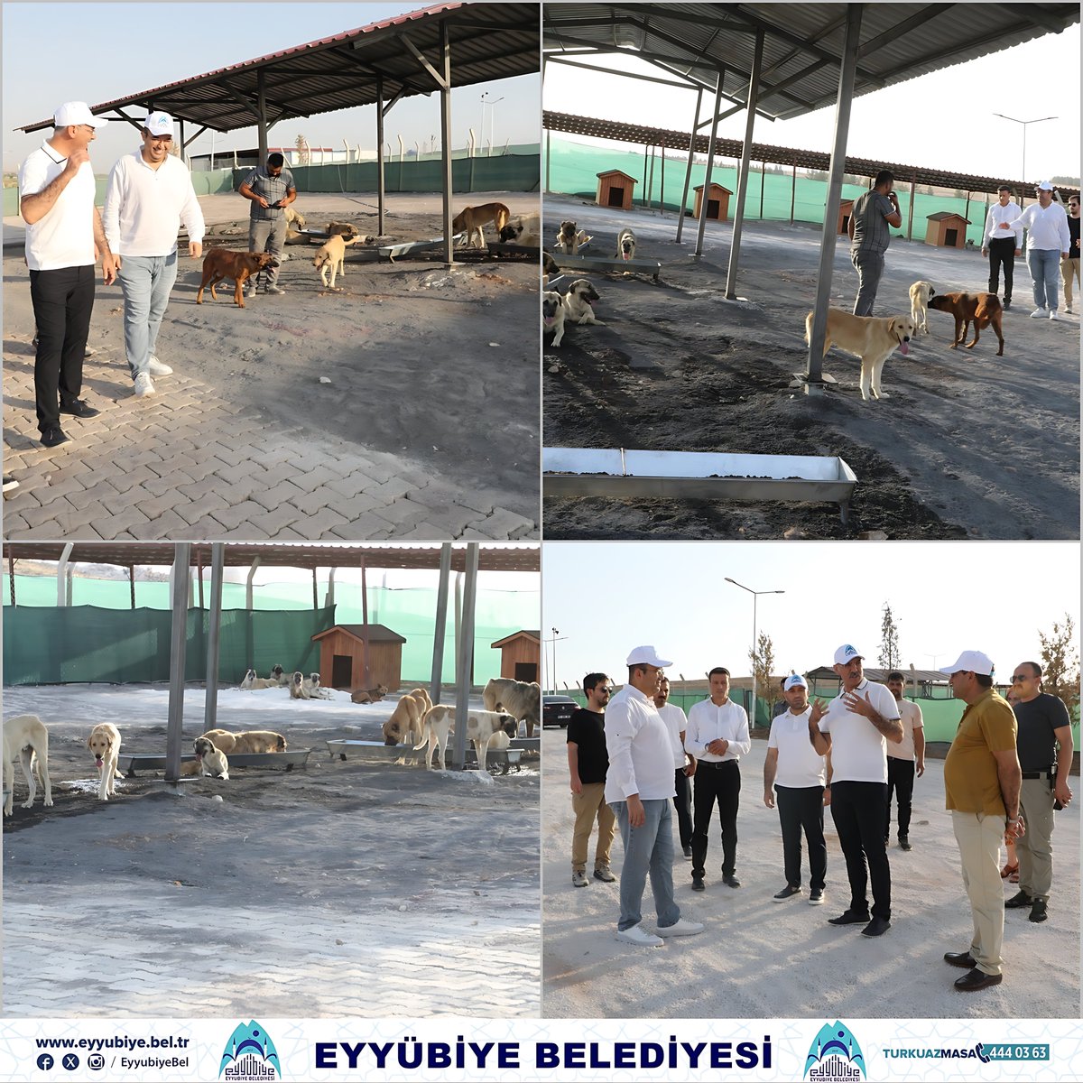 Eyyübiye, Sokak Hayvanları Sorununu Çözdü!

eyyubiye.bel.tr/icerik/3001/40…