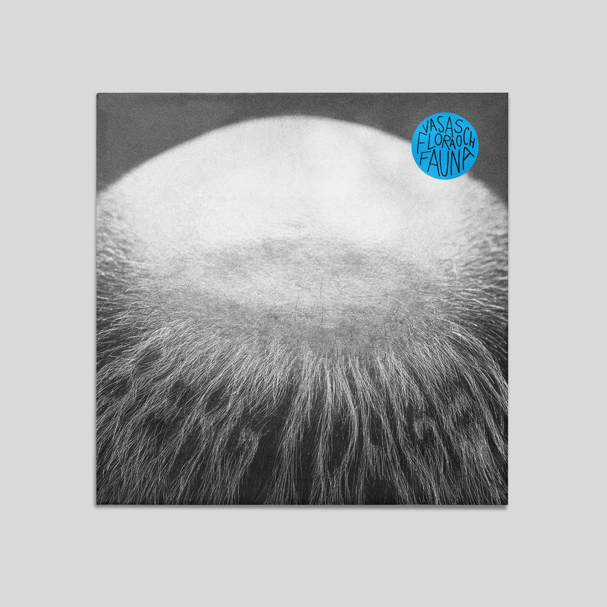 Vasas flora och fauna - Berg i dagen Vinyl LP (2025-10-17) preorder at shop.startracks.se