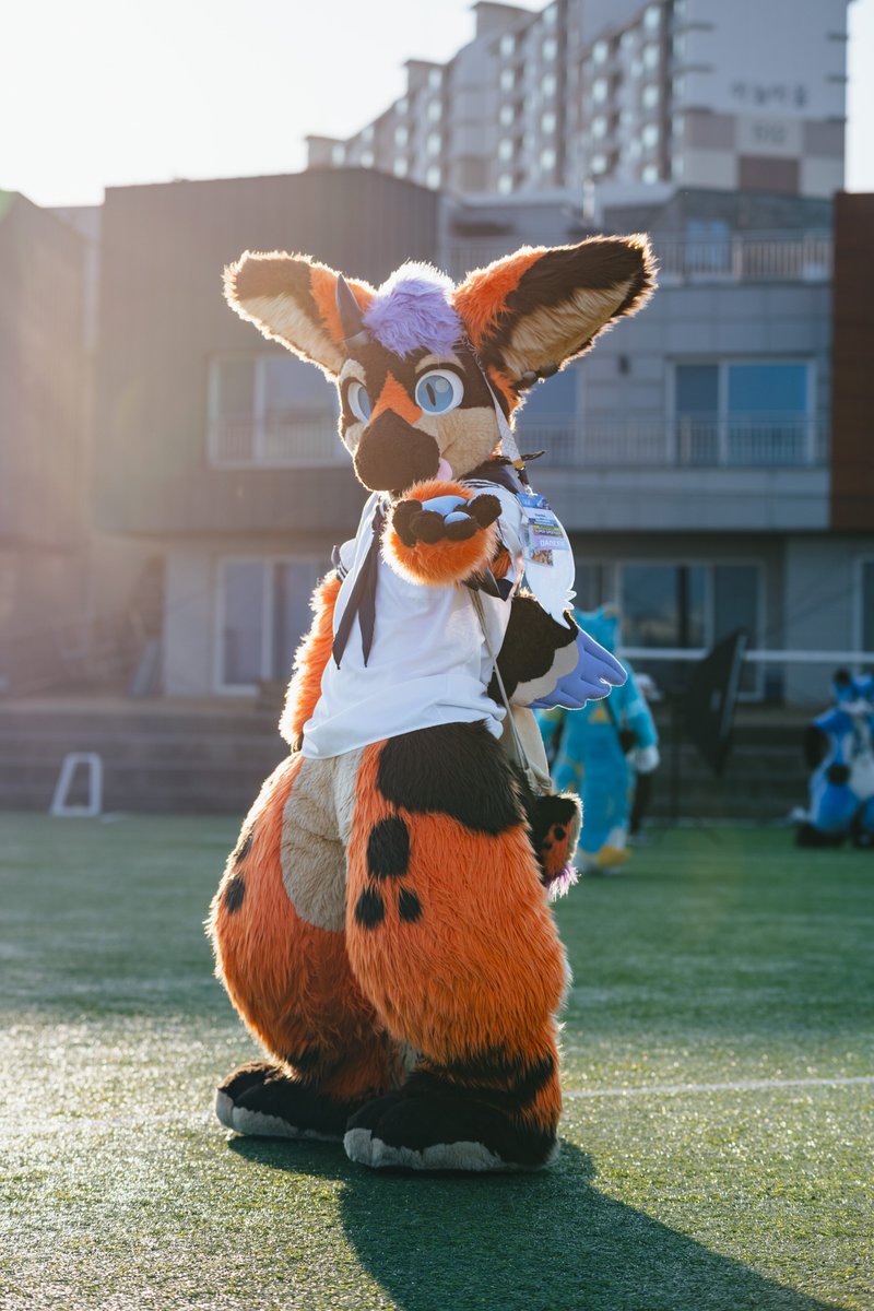 ずっと君の心をあたためる存在でいたいな〜☀️

#FursuitEverday