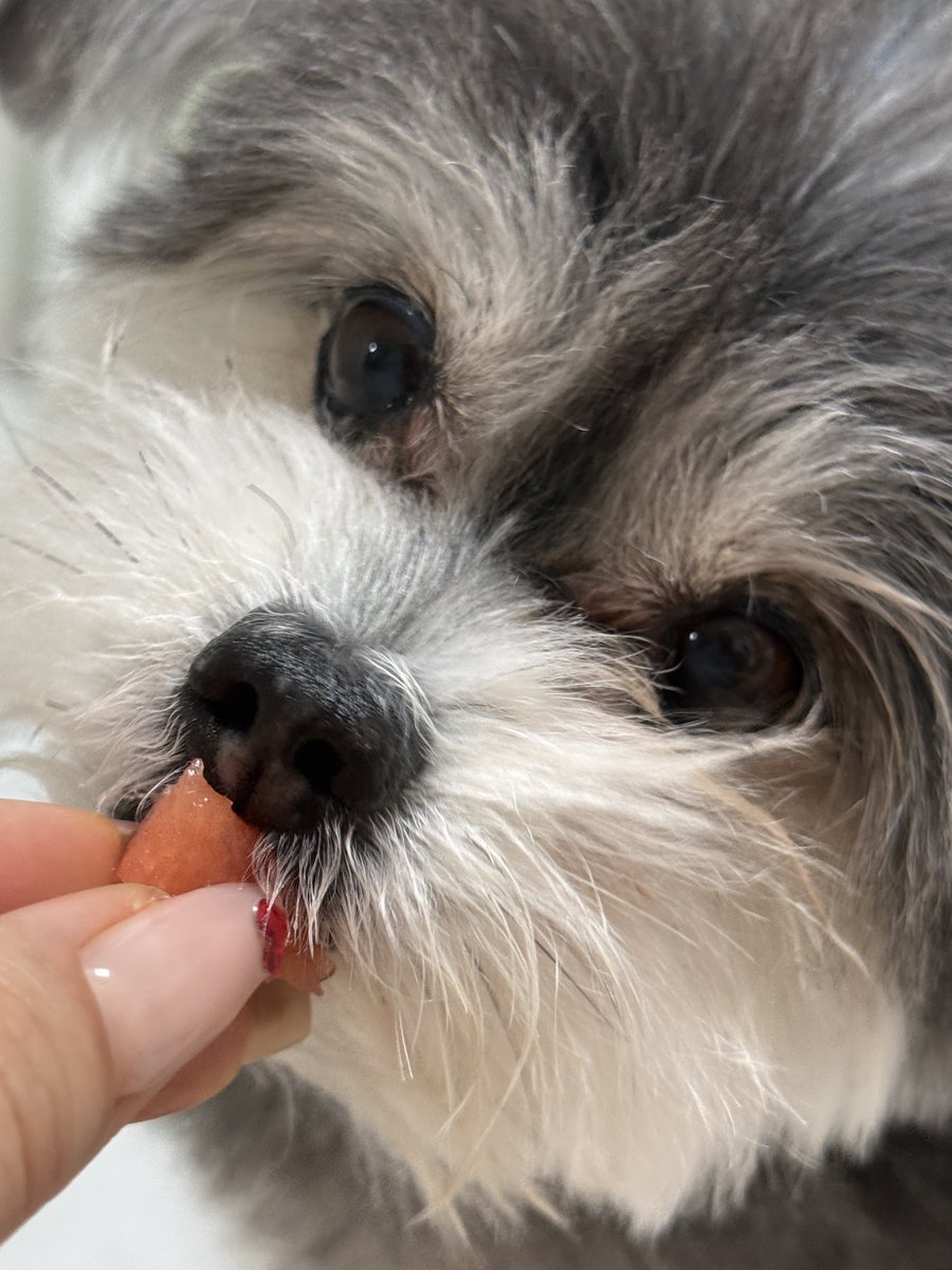 같이 수박먹는게 낙이야🍉🏖️
