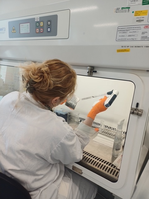 iBoxit UK tweet media