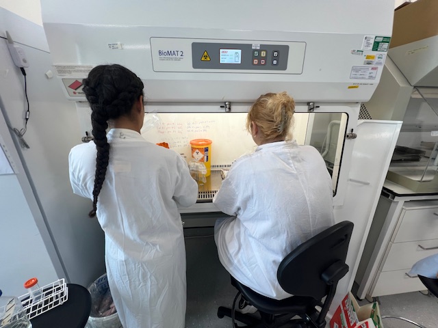Here we have some photos of our scientific researchers working on testing our Zyvex® #antimicrobial formula's efficacy against the rather horrible #listeria (listeria monocytogenes) bacteria at the Quadram Institute in Norwich.

Contact...

iboxit.uk
0800 779 7900