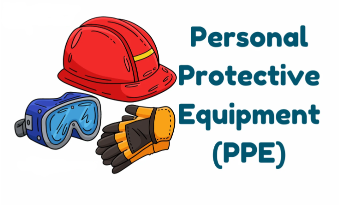 JuniorBuffett's tweet image. PPE52! 168c up. 
Let&apos;s roll.