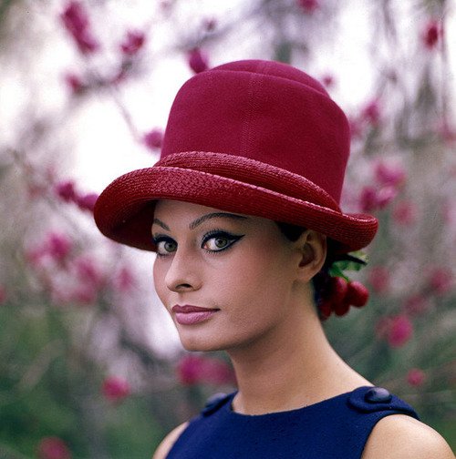 Sophia Loren