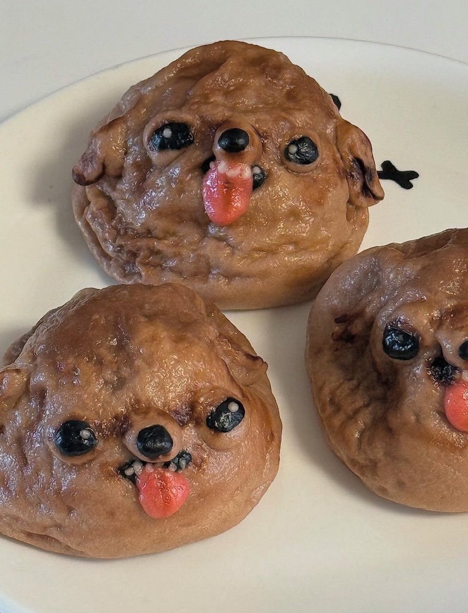 DogHomeFromHome's tweet image. Chihuahua Bao Buns anyone?