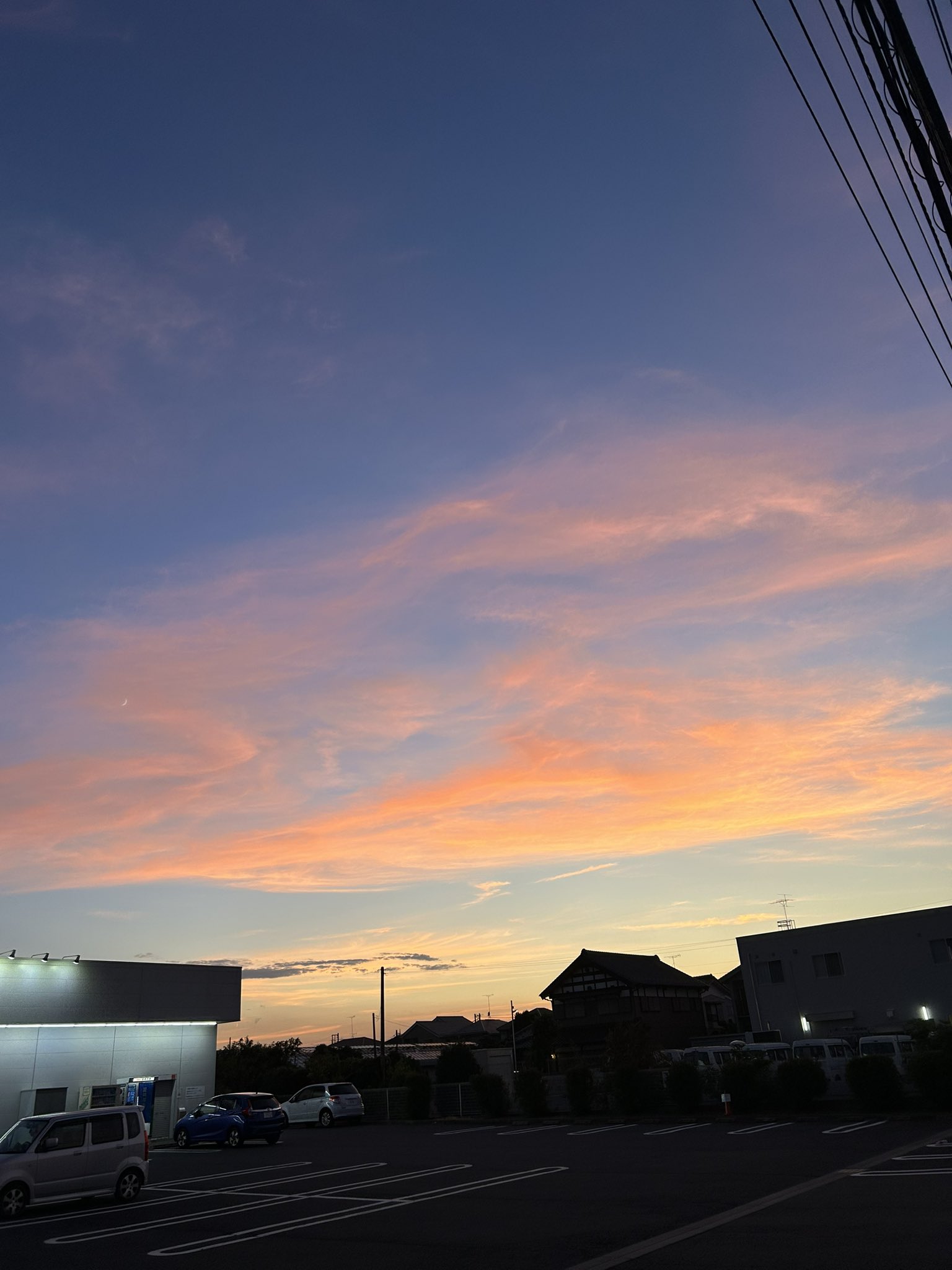 五月雨〜宇留賀亮 on X: 