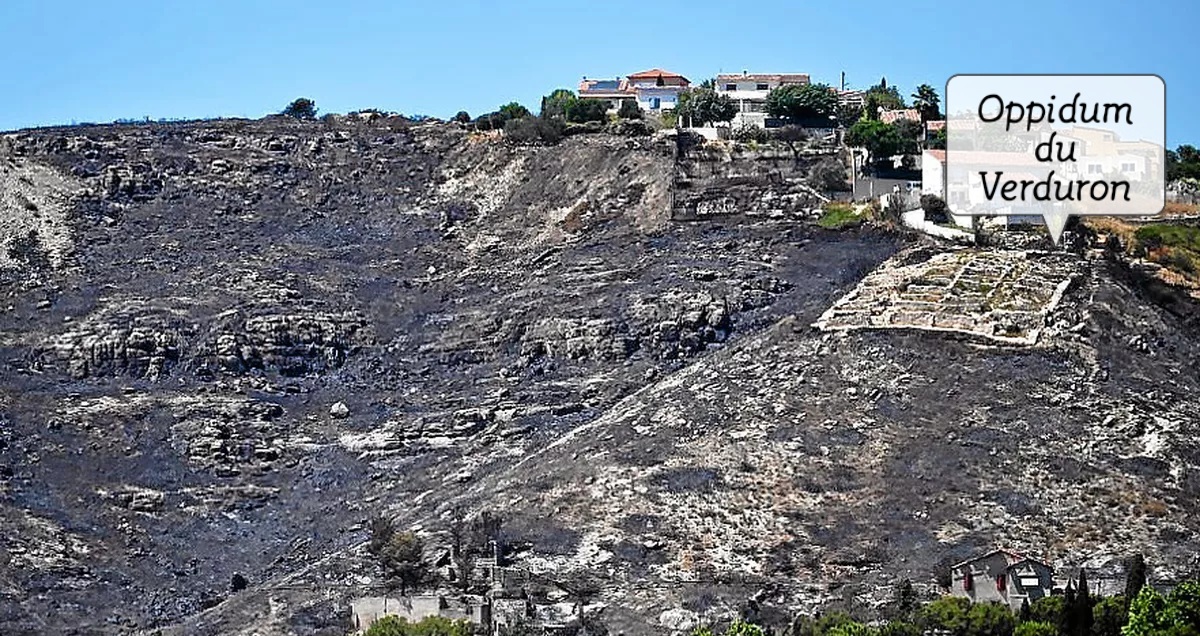 Les vestiges de l'oppidum gaulois du Verduron miraculeusement préservés, alors que tout autour à brûlé lors de l'incendie 🔥 qui a frappé les alentours de #Marseille le 8 juillet, courageusement combattu par les marins pompiers de Marseille et leurs renforts.

Ce petit oppidum