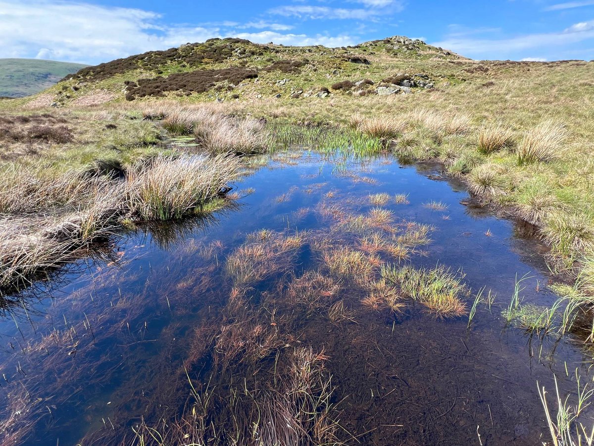 We’ve restored 3,000 hectares of peatland across the North West. Now we’re committed to restoring 1,500 more, supporting nature, water and climate this #InternationalBogDay. unitedutilities.com/corporate/news…