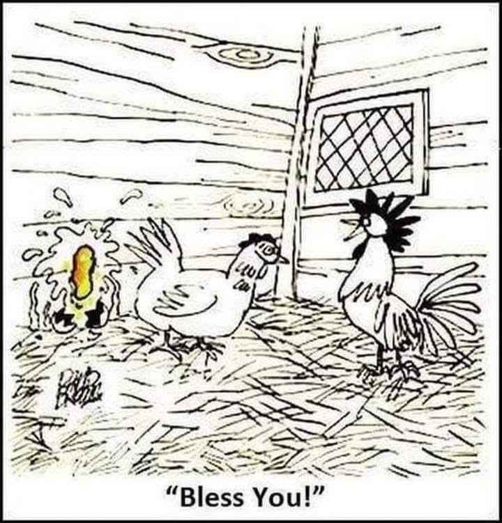 Fowl joke !  😃