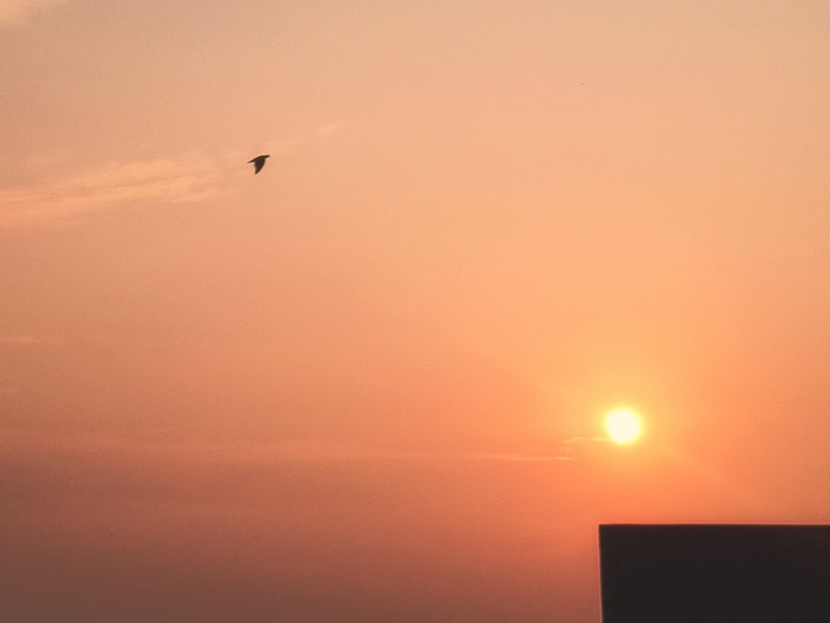 arthextic's tweet image. pastel sky symphony.