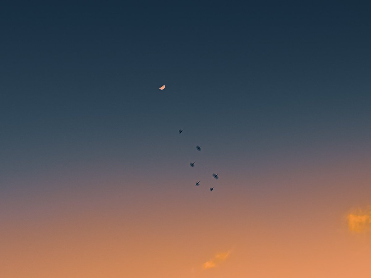 arthextic's tweet image. pastel sky symphony.