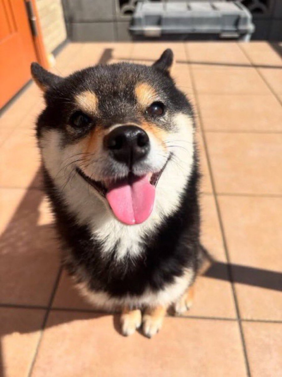 CryptoChris 🥀 tweet media