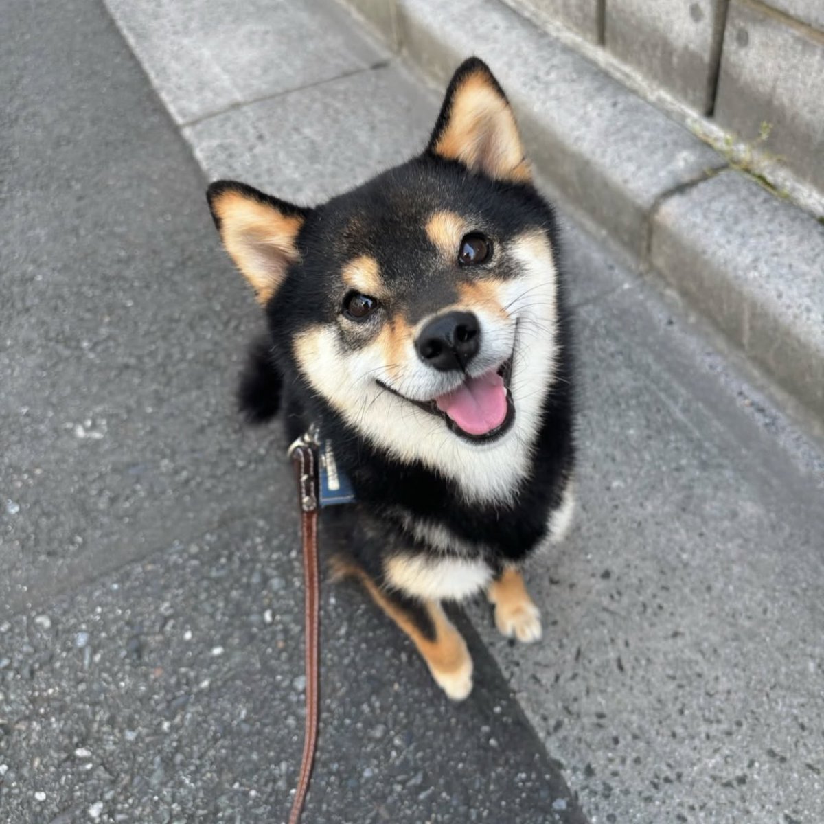 CryptoChris 🥀 tweet media