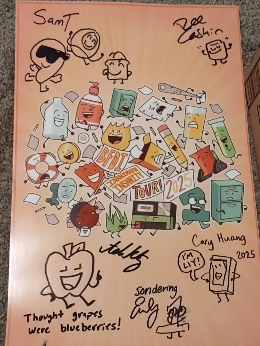 hamThesillyhead's tweet image. MY TOUR POSTER!!! What a great experience all around, everyone was so so kind and friendly including those who sat next to me and I loved what I saw in the episodes! 💚 #bfdi #ii
