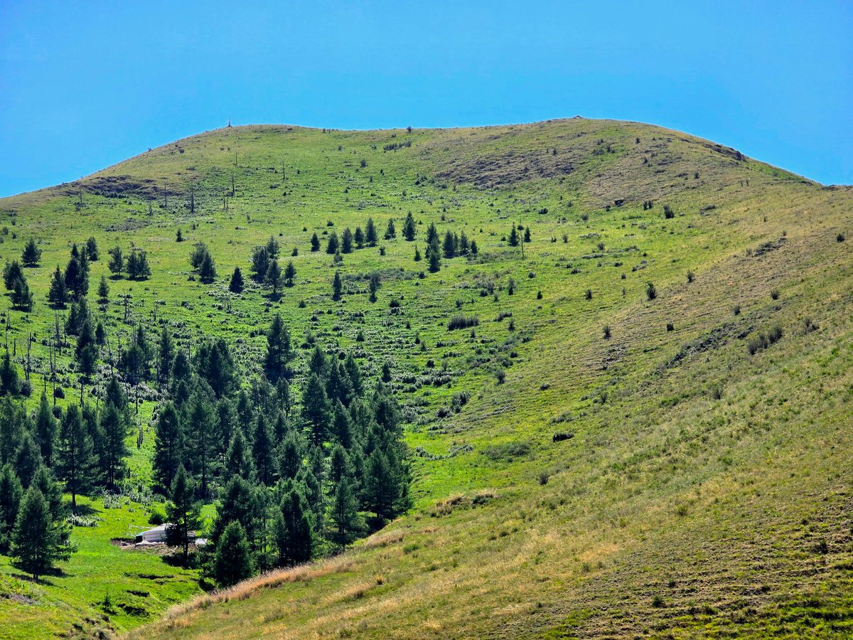 Mongolian Steppe sneak peak in Ulaanbaatar.