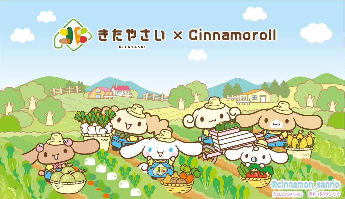 しなもんさま確認ページ シナモン【公式】 (@cinnamon_sanrio) / X