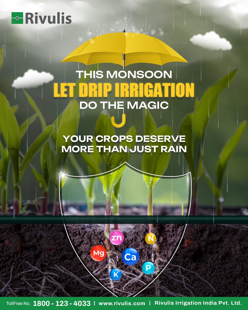 Give your crops the right moisture &amp; nutrition—season after season—with Rivulis drip irrigation.
Grow smarter. Grow stronger. #GrowWithRivulis

#RivulisIndia #SmartFarming #DripIrrigation #MonsoonReady #PrecisionFarming #SustainableAgri
