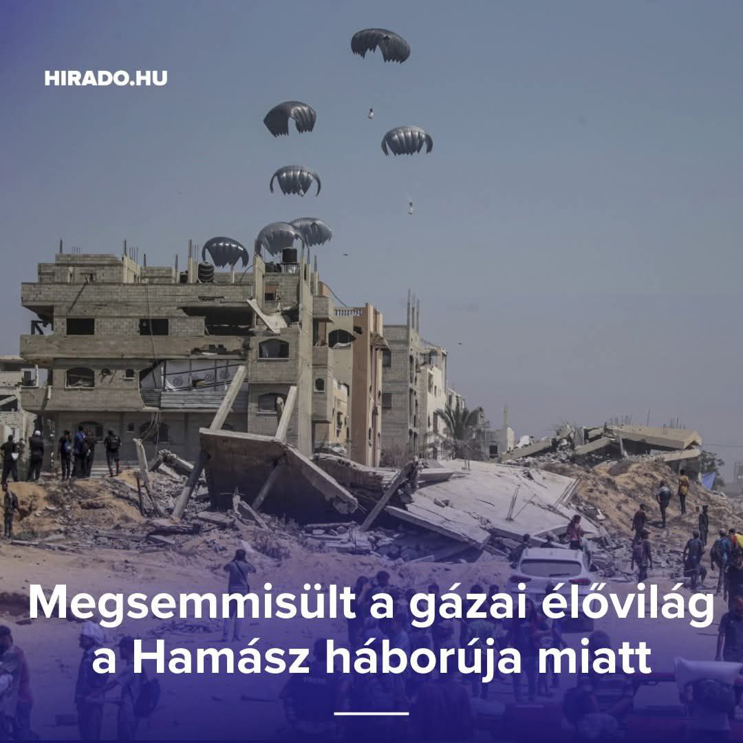szkrcom's tweet image. A Hamász háborúja miatt...
Aha persze...

Hirado.hu az elmúlt hetekre teljesen átváltott izraeli kormányzati lappá?
