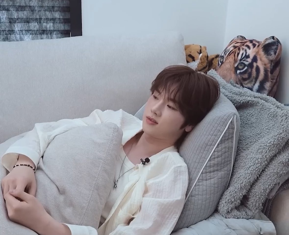 guineagain's tweet image. 정수진짜편해보인다 친구집가서저런왕쿠션잇으면잠깐기댓다가그대로개맛잠잘수잇어