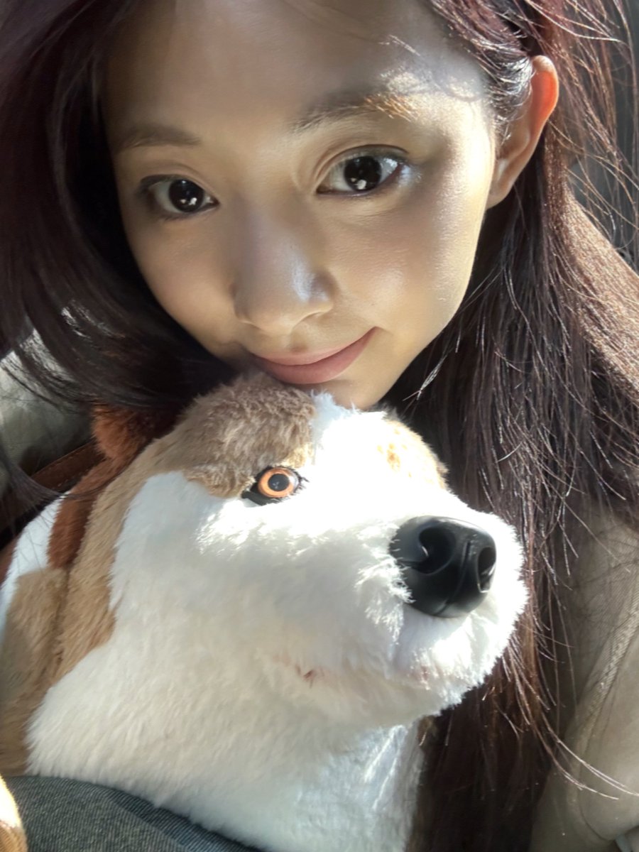 jichaetzu's tweet photo. MORE CUTE PICS OF TZUYU AND THE DOG BAG 🥹💙 https://t.co/nmp6UYKrl3